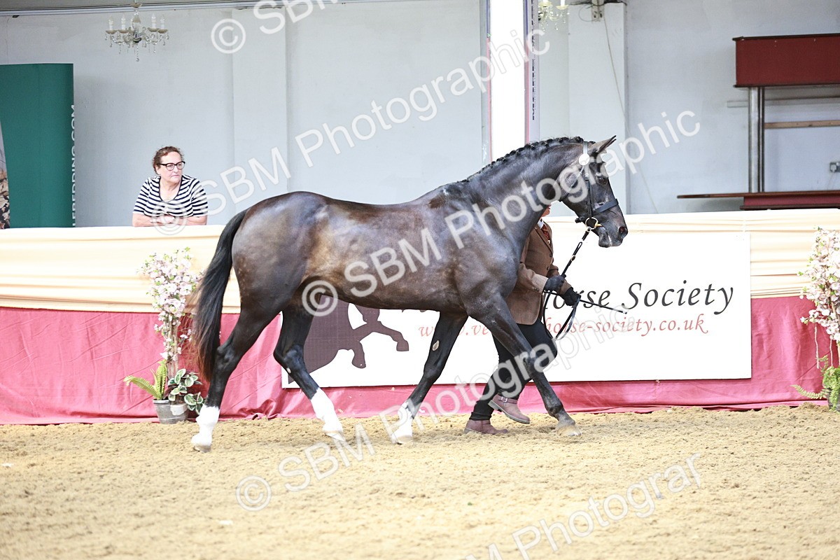 SBM_04749 - Class 7R - Regional IH Diamond