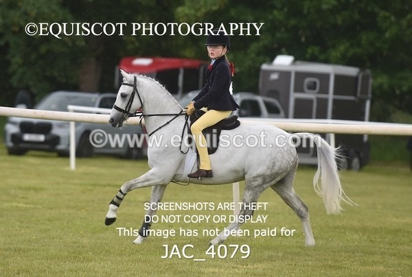 JAC_4079 - 40CM WORKING HUNTER