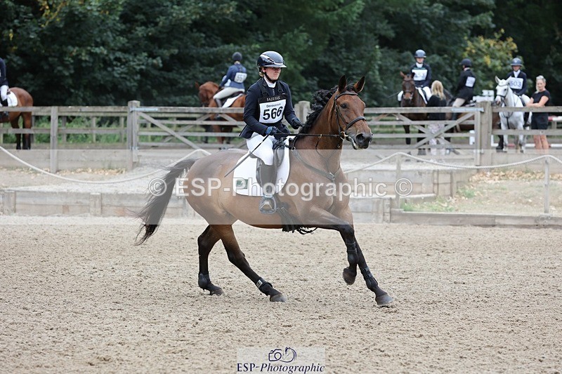 250803A-115021-12515 - M-566-Libby.Seed-CLEOPATRA'S.COURTESAN