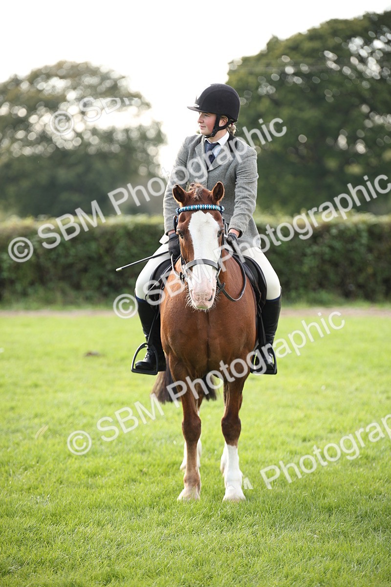 SBM_54266 - S27 - Mature Veteran - Ridden