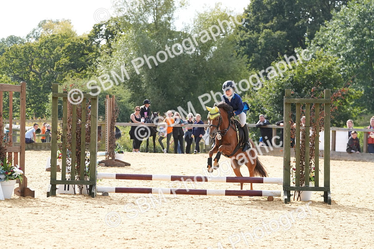 SBM_68459 - J3 - Mini Tour Junior Pony 40cm Championship