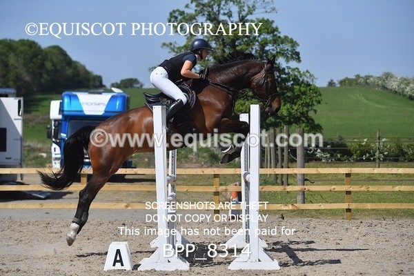 BPP_8314 - CLASS 6 Senior Newcomers/ 1.10m Open