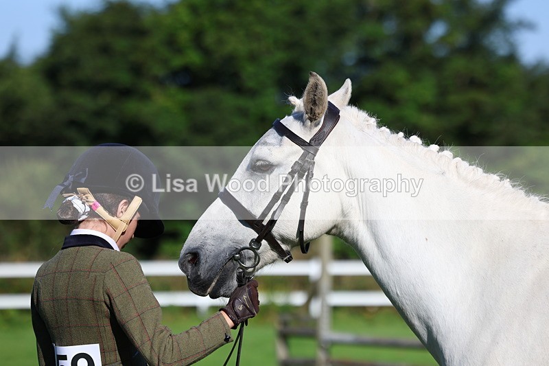 3E7A7692 - Class 1: Novice Working Hunter Pony