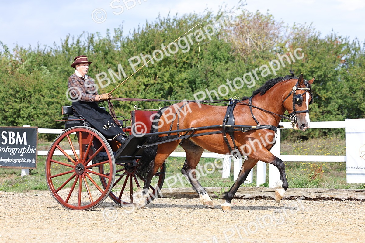SBM_000909 - Class 8 - Novice Horse or Pony to any vehicle