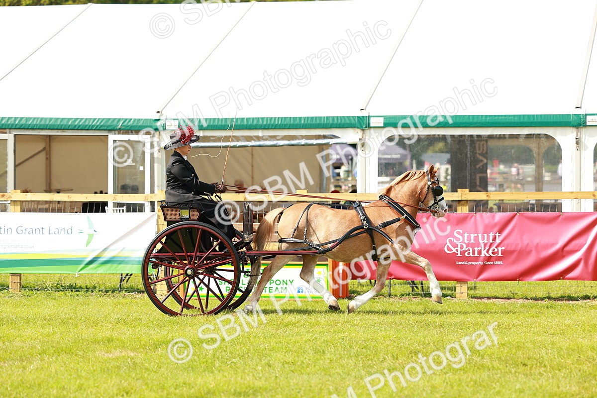 SBM_02572 - Class 2-4 - HOYS Private Driving
