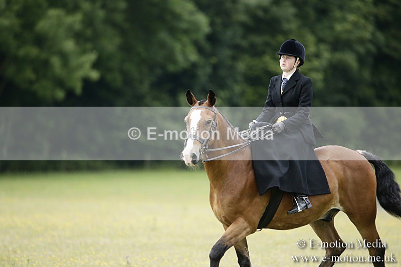 BVR160717-1574 - Side Saddle Classes 16/07/17