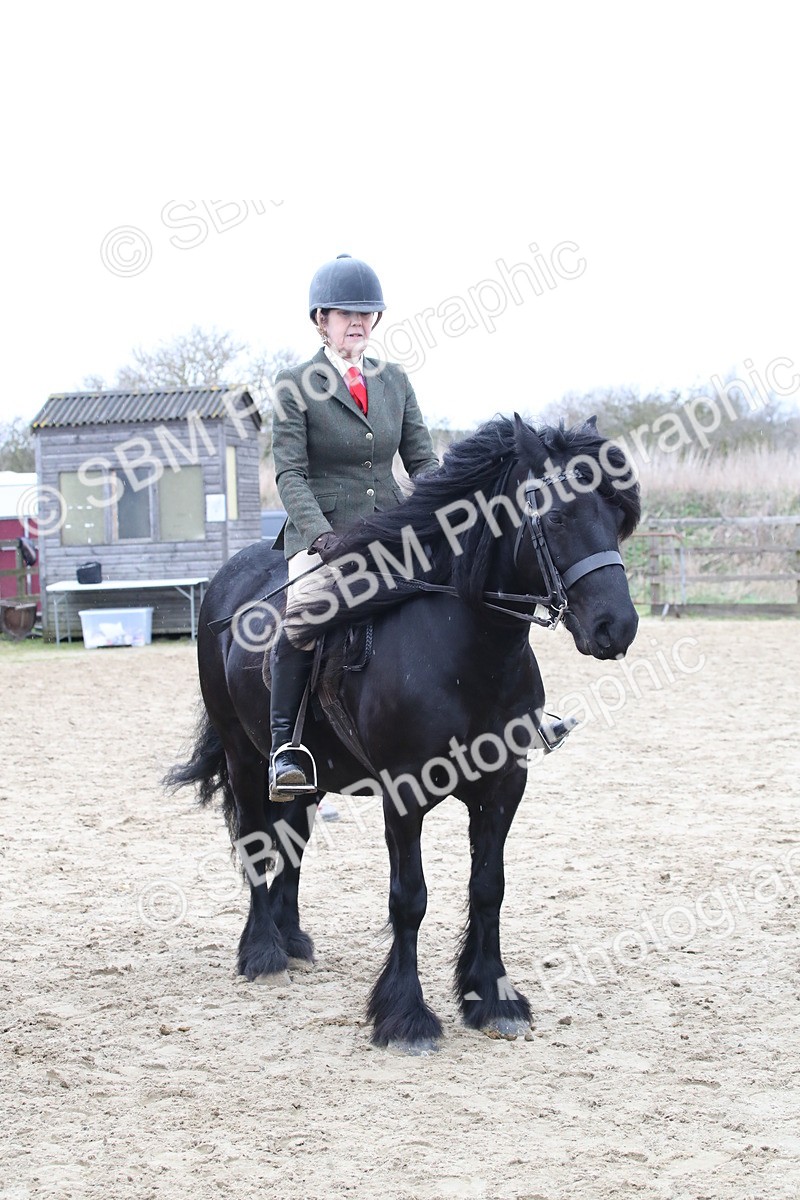 SBM_007309 - Class 10-13 - RIHS Small Large Breeds