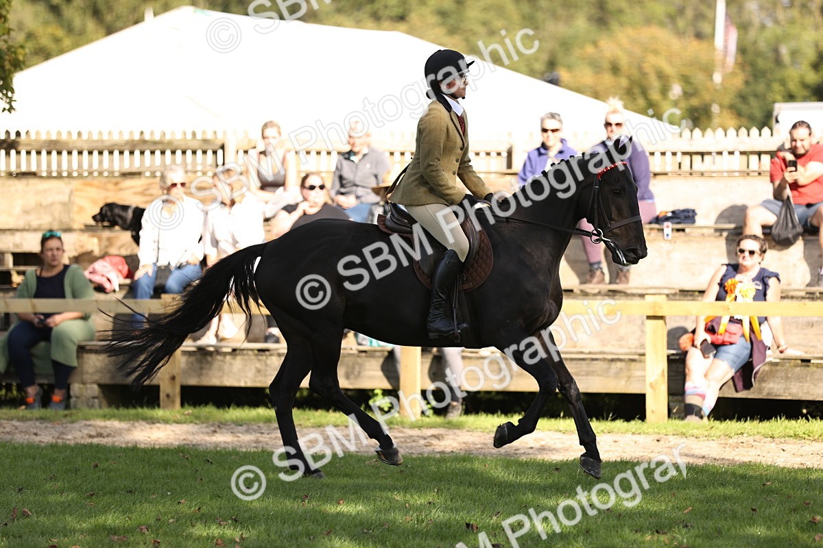 SBM_26387 - S6 - Novice & Newcomers Ridden Horse