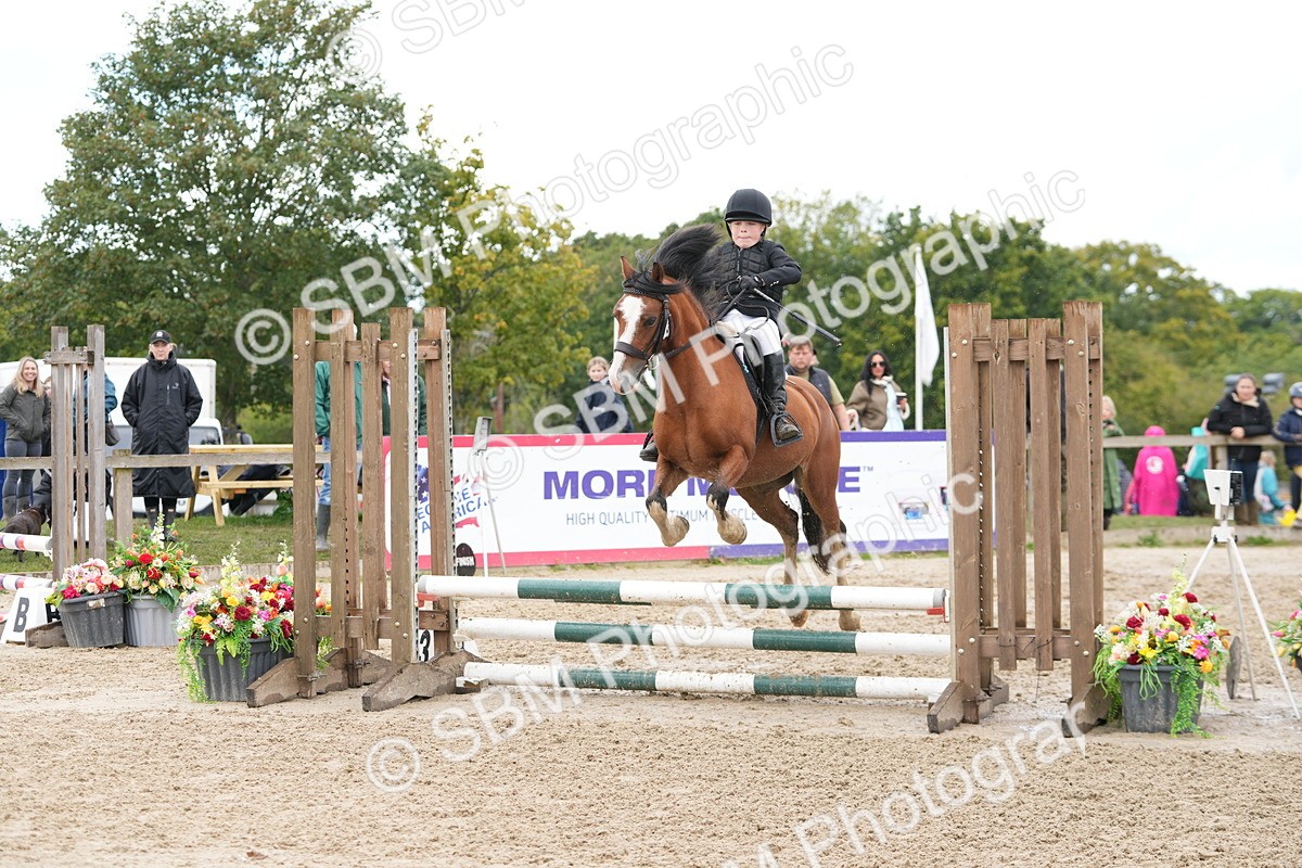 SBM_43426 - J7 - Junior Pony 60cm Championship
