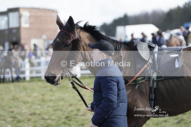 PtP 260223 677 - South & West Wilts Point-to-Point Larkhill 26/02/23