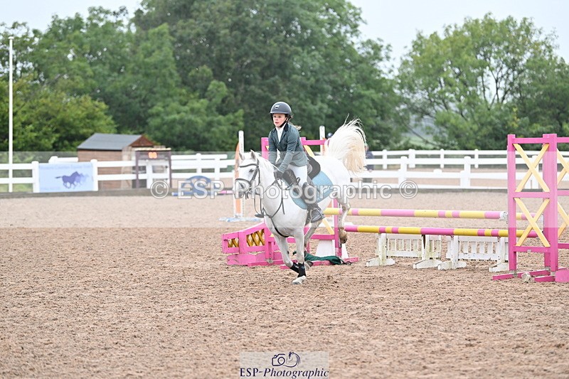 240908A-100801-02698 - Cls 17 Pony Intro 75cm