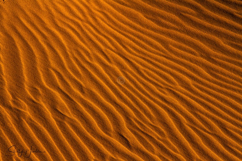 Patterns in the Sand 1