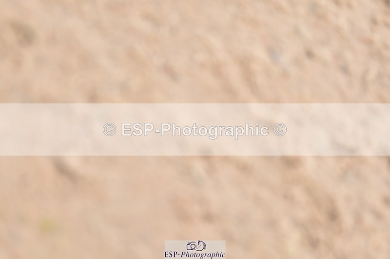 240403A-155108-01041 - Cls 5 Foxhunter and 1.20m Open