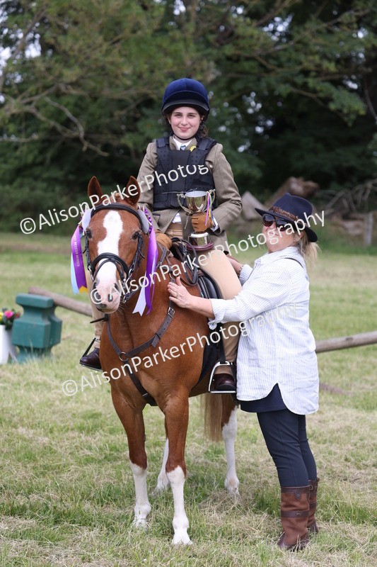 20260614-2170 - Class 21 - Novice Working Hunter Pony