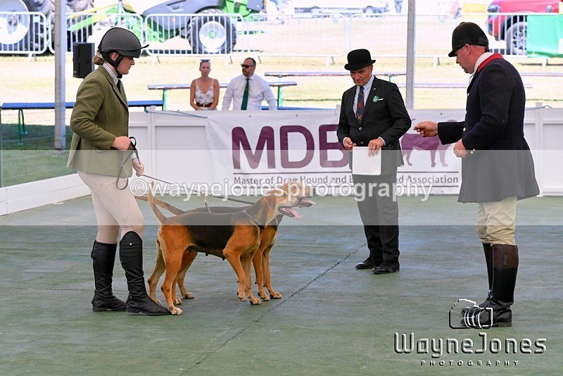 WJ5_1137 - Berks & Bucks at the Great Yorkshire Show 2025