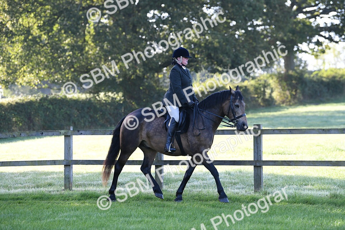 SBM_33990 - S16 - Condition & Turnout - Ridden