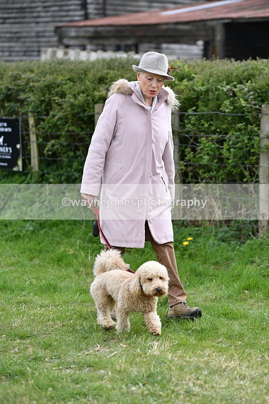 WJ5_9072 - Class 1 Best Cross Breed / Heniz 57