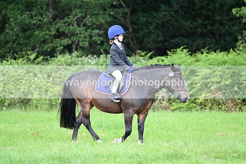 WJ7_1034 - Class 11 Condition & Turnout