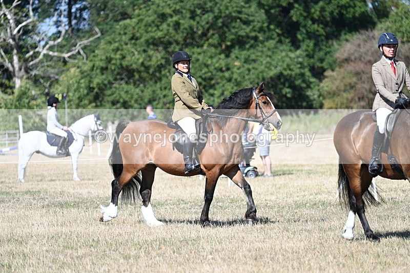 WJ7_3362 - Class 9 Mountain & Moorland Ridden