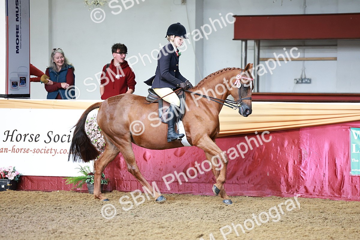 SBM_11900 - Class 102 - Equitation (Best Rider) Adult