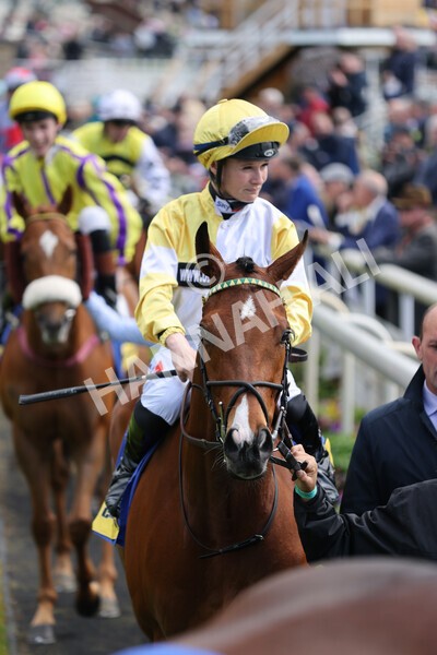 yr11052022r2-10 - Race 2 2.25pm Churchill Tyres Stakes