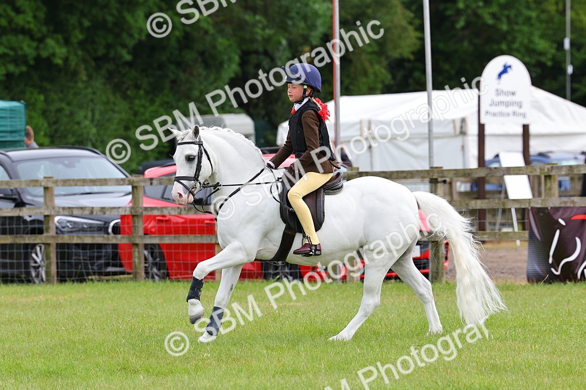 SBM_09590 - Class 44-45 - LIHS BSPS Open Nursery and Cradle Stakes