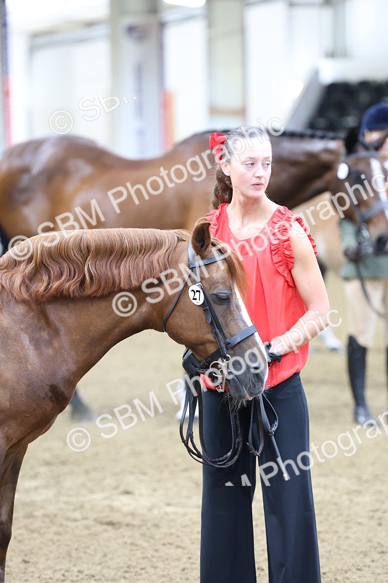 SBM_21834 - Class 901 - Supreme Final - IH  Diamond