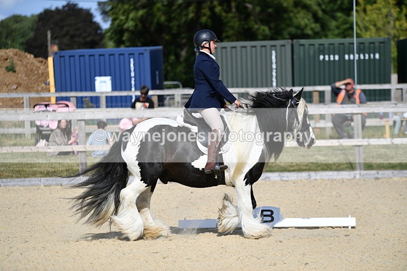 WJ5_7714 - Time 16:40 to 16:55