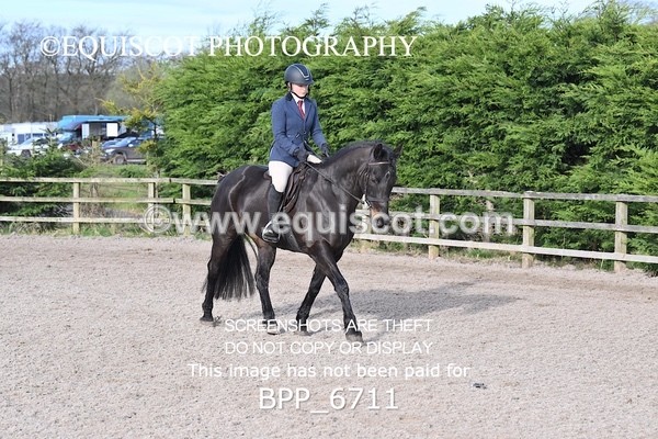 BPP_6711 - RING 1  (RIDDEN HORSES / IN HAND / VETERAN ETC)