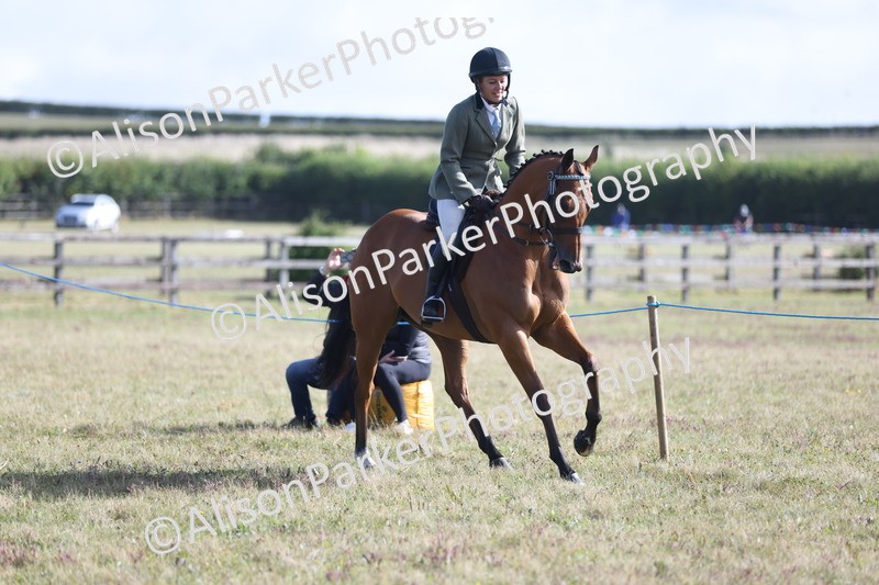 20250831-0823 - Class 14 - Ex Racehorse