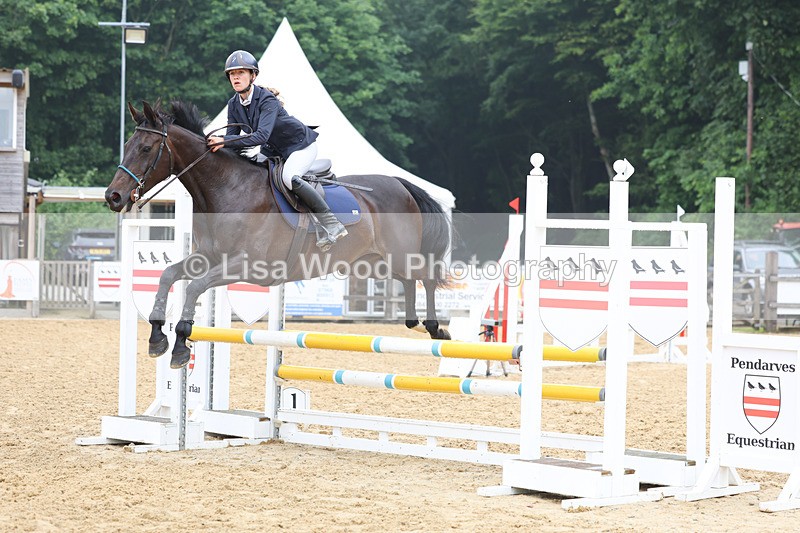 3E7A5612 - Class 4: Senior British Novice/90cm open