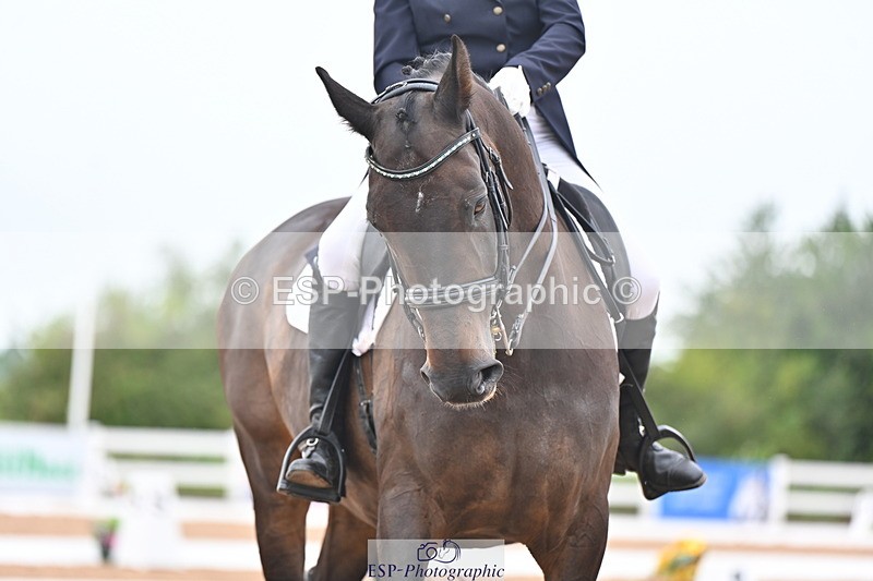 240815A-140938-01781 - 258-Clare.Hainsworth-Rudino