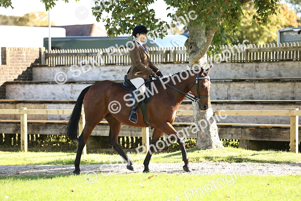SBM_16871 - S2 - TSR Ridden Pony Showing