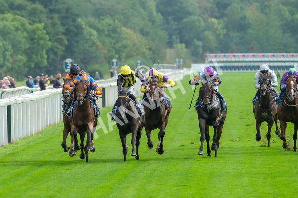 080925-Race 4-Zain Blue-9025 - Race 4 4.00pm Sky Bet Extra Places Middle Distance Handicap