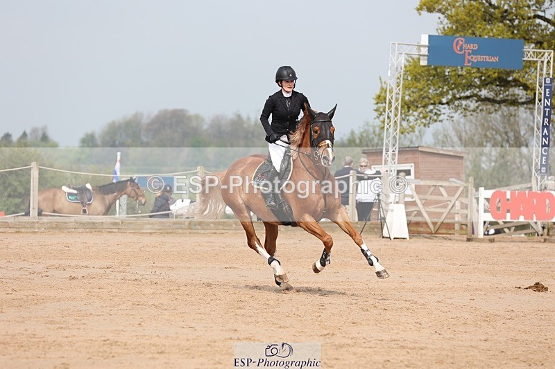 250424-110425-03376 - Cls 33 Young Horse 7yr old