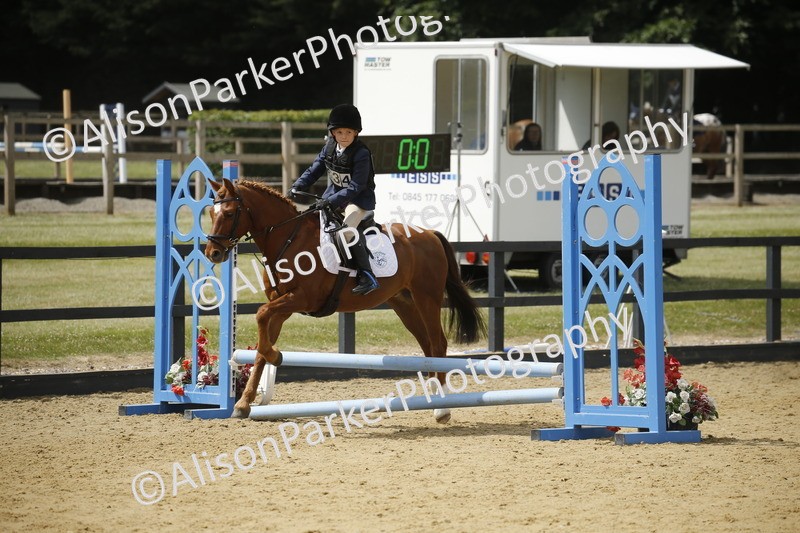 20250622-3993 - 50cm