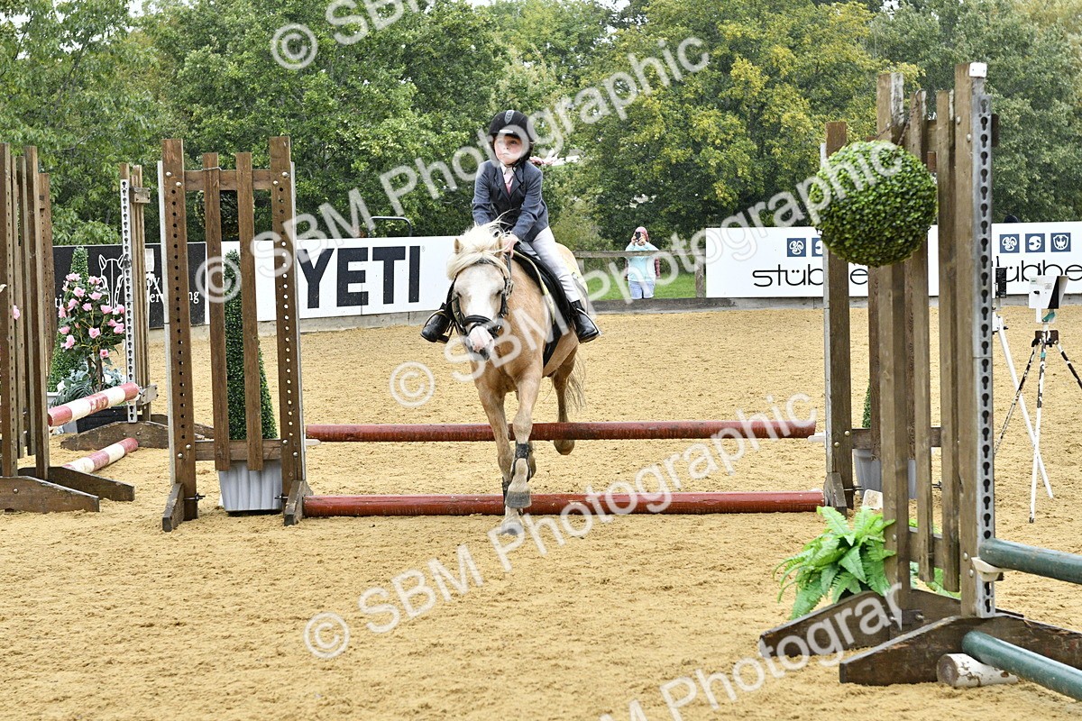 SBM_70853 - J3 - Mini Tour Junior Pony 40cm championship