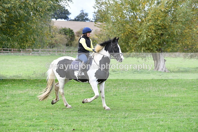 WJ5_0980 - Time 14:29 to 15:31