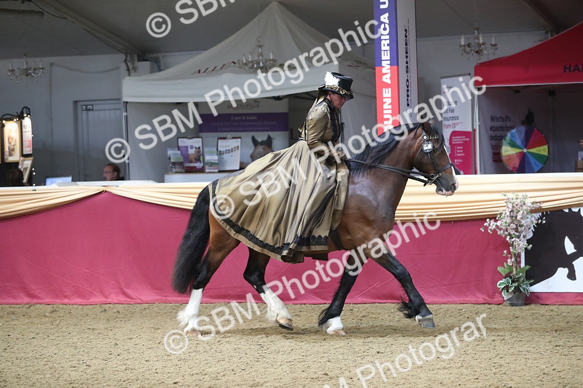 SBM_11971 - Class 106 Ridden Costume- Astride Adult (15-19)