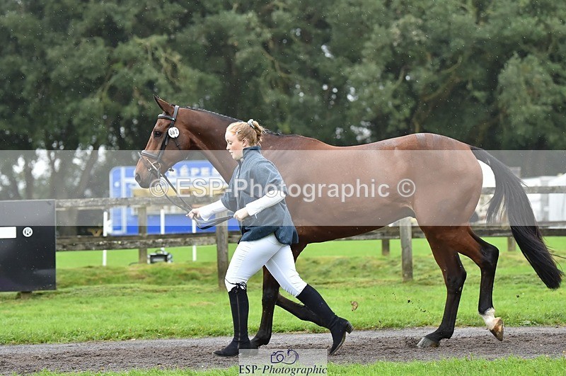 231018-124626-00509 - 062-CLASS.ROMANCE-Eleanor.Hope-TrotUp