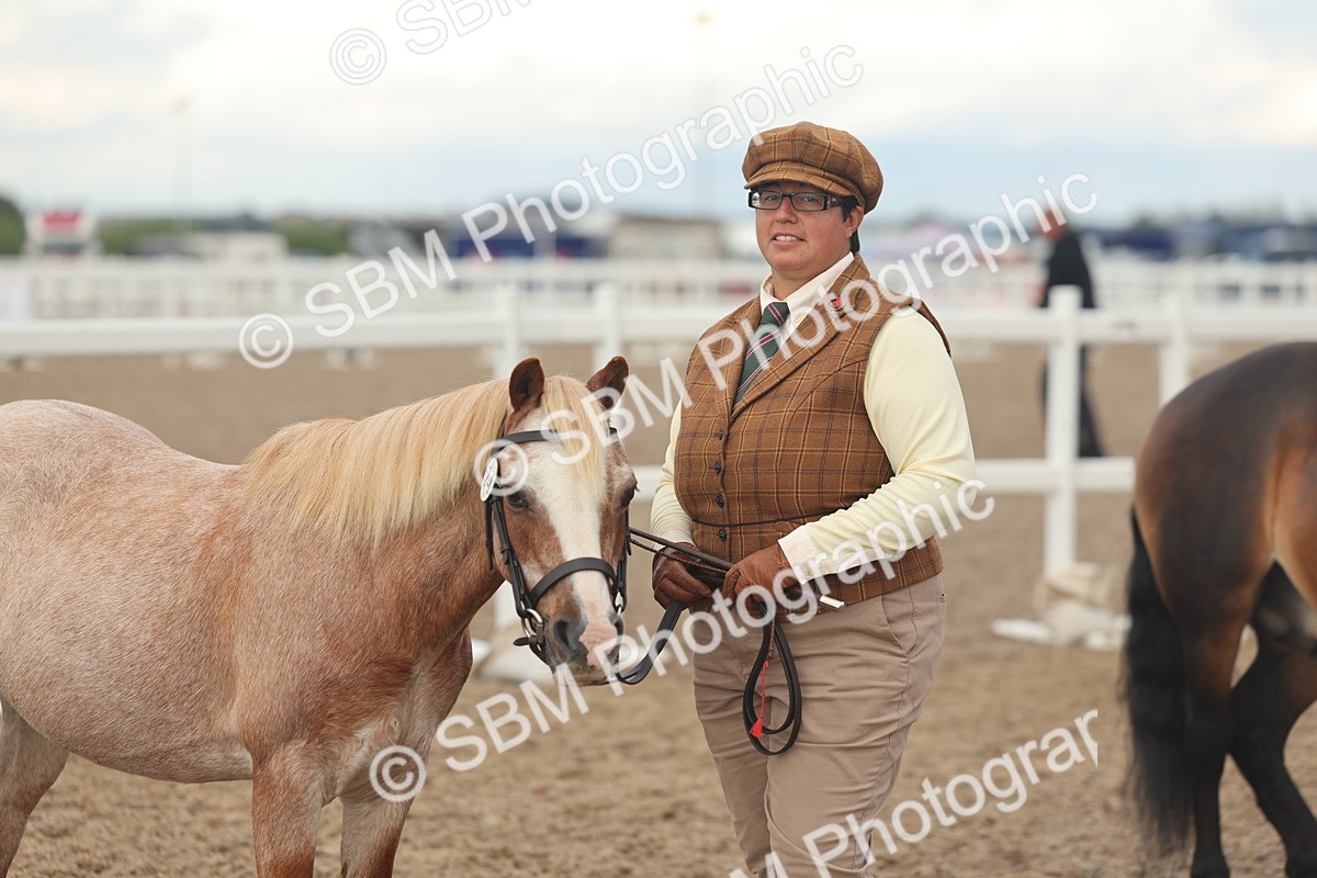 SBM_08534 - Class 29 - IH Veteran Pony