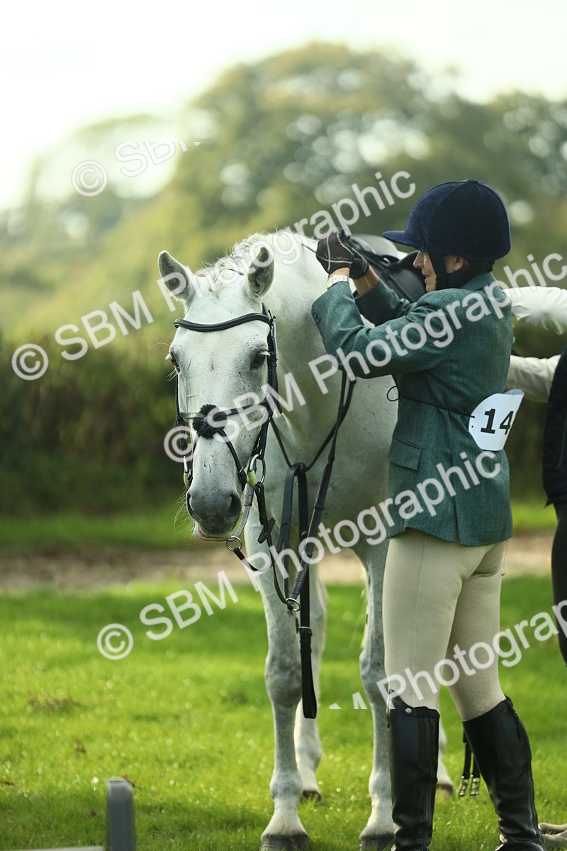 SBM_52150 - S33 - Working Hunter & Working Show Horse