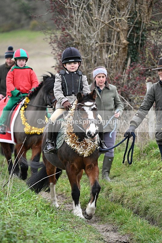 WJ7_0936 - First Seen