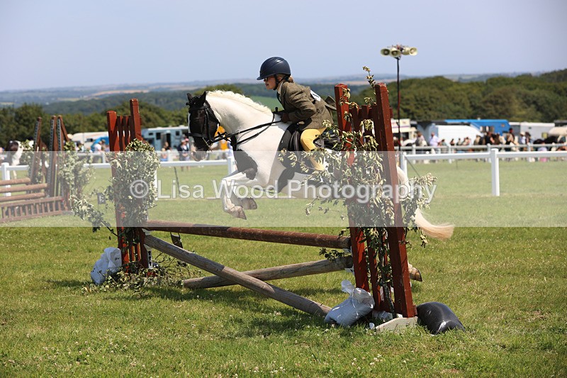 JPP_3089 - Class 22: Working Hunter 70cm