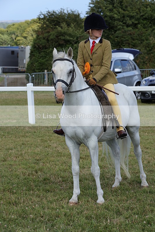 1X9A5823 - Class 40: NPS Welsh A & B