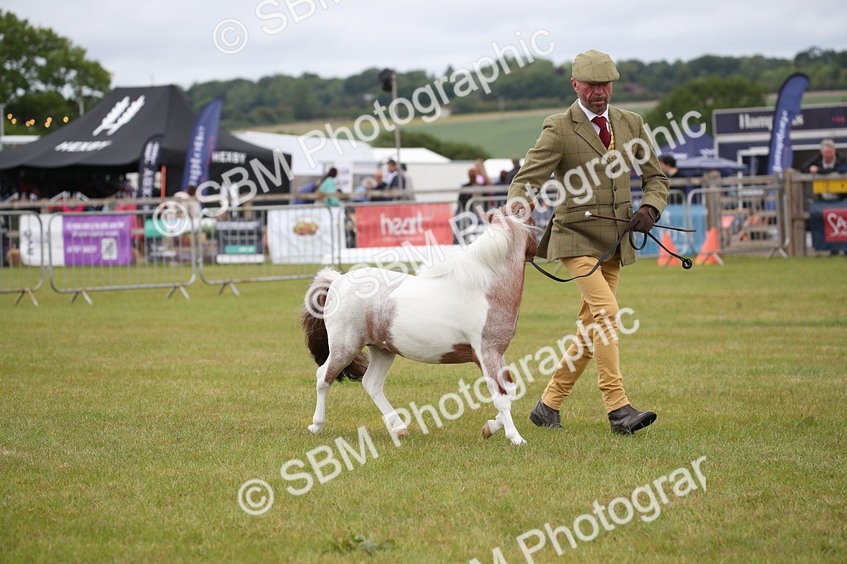 SBM_03777 - Class 23-25 - British Miniature Horse of the Year