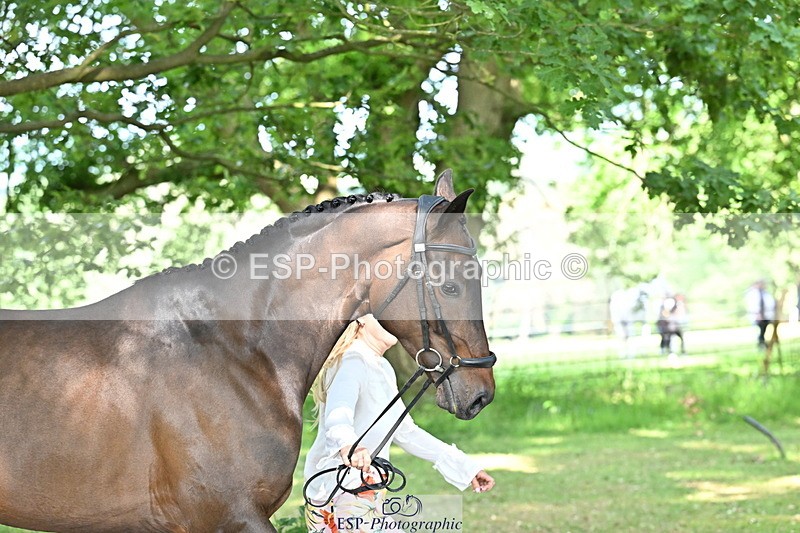 250521A-165818-01441 - C-275-Kat.Raybould-ROYAL.CATCH