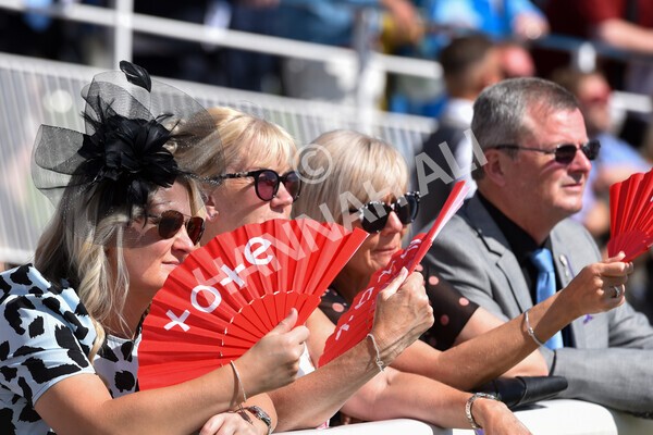 yr09072022r5-30 - Race 5 4.05pm John Smith's Cup