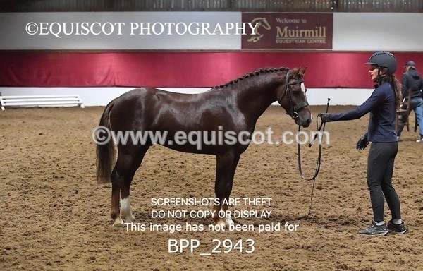 BPP_2943 - LOOSE JUMPING / SPSS