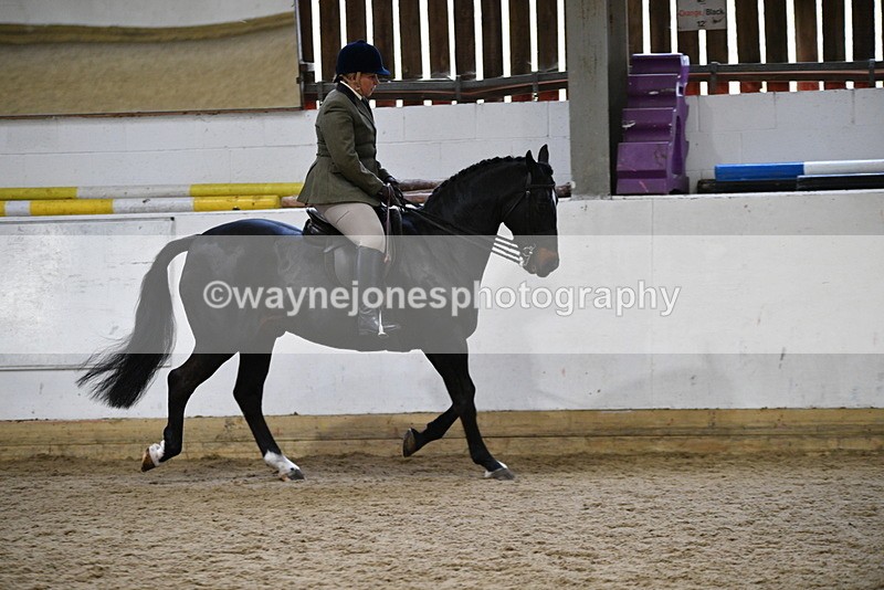 WJ5_7802 - Class 13 Ridden Part Breed
